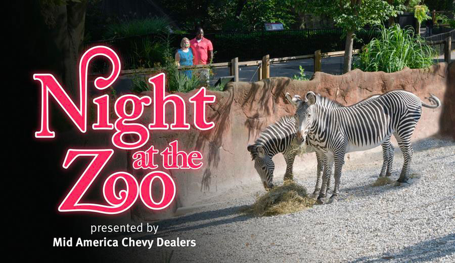 Night at the Zoo