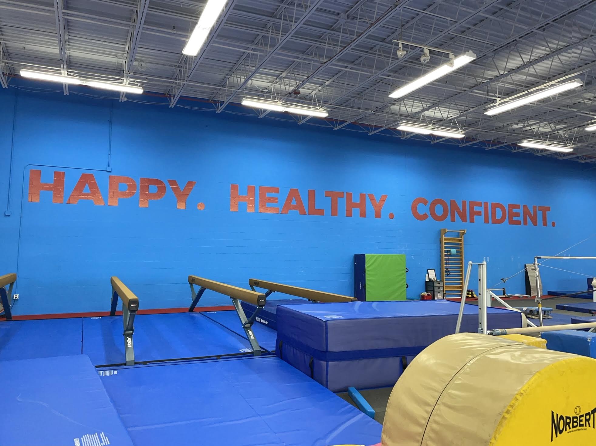 Open House with Unlimited Open Gym at Olympia Gymnastics Manchester ...