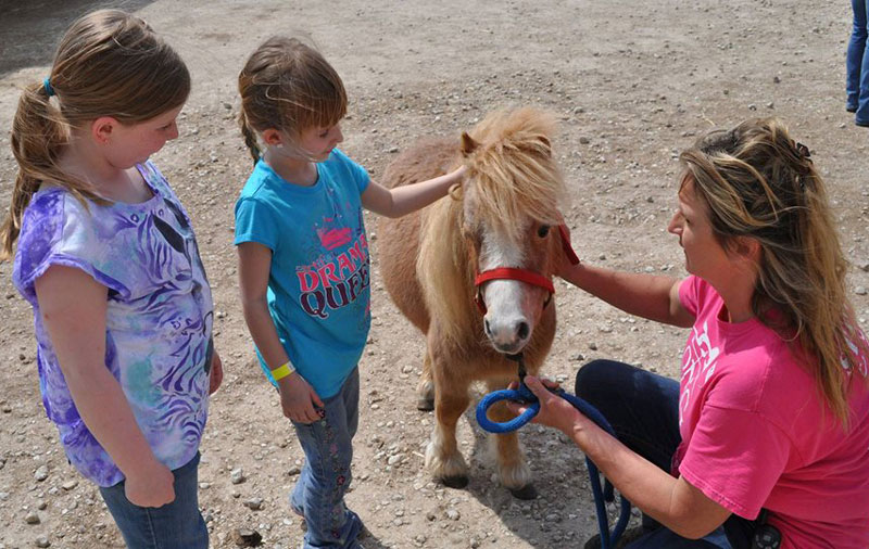 Wagon Days at Longmeadow Rescue Ranch | stlparent.com
