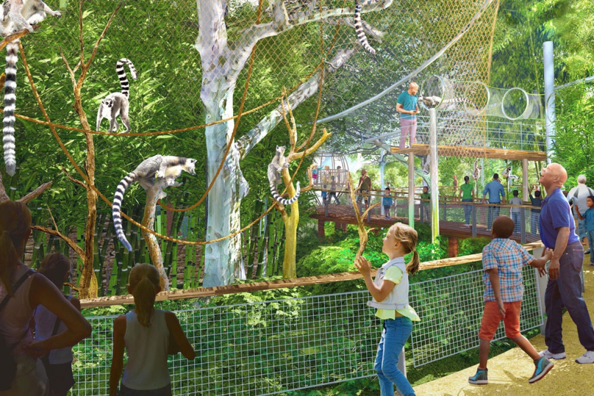Saint Louis Zoo Plans Primate Canopy Trails, a Huge Outdoor Expansion