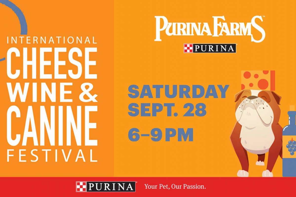 International Cheese Wine And Canine Festival Stlparent Com